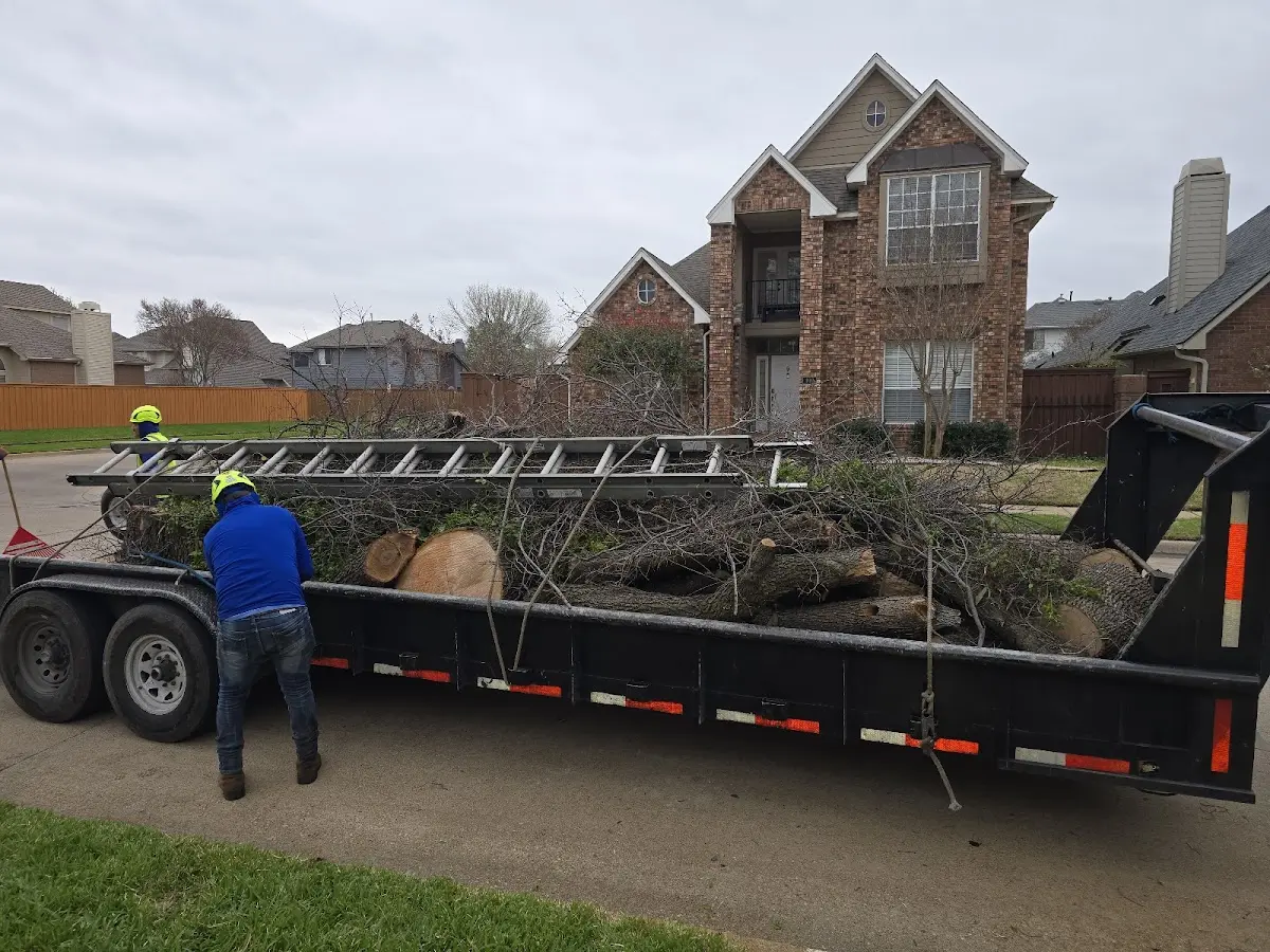 Expert Tree Fertilization with proper safety equipment in Turpin